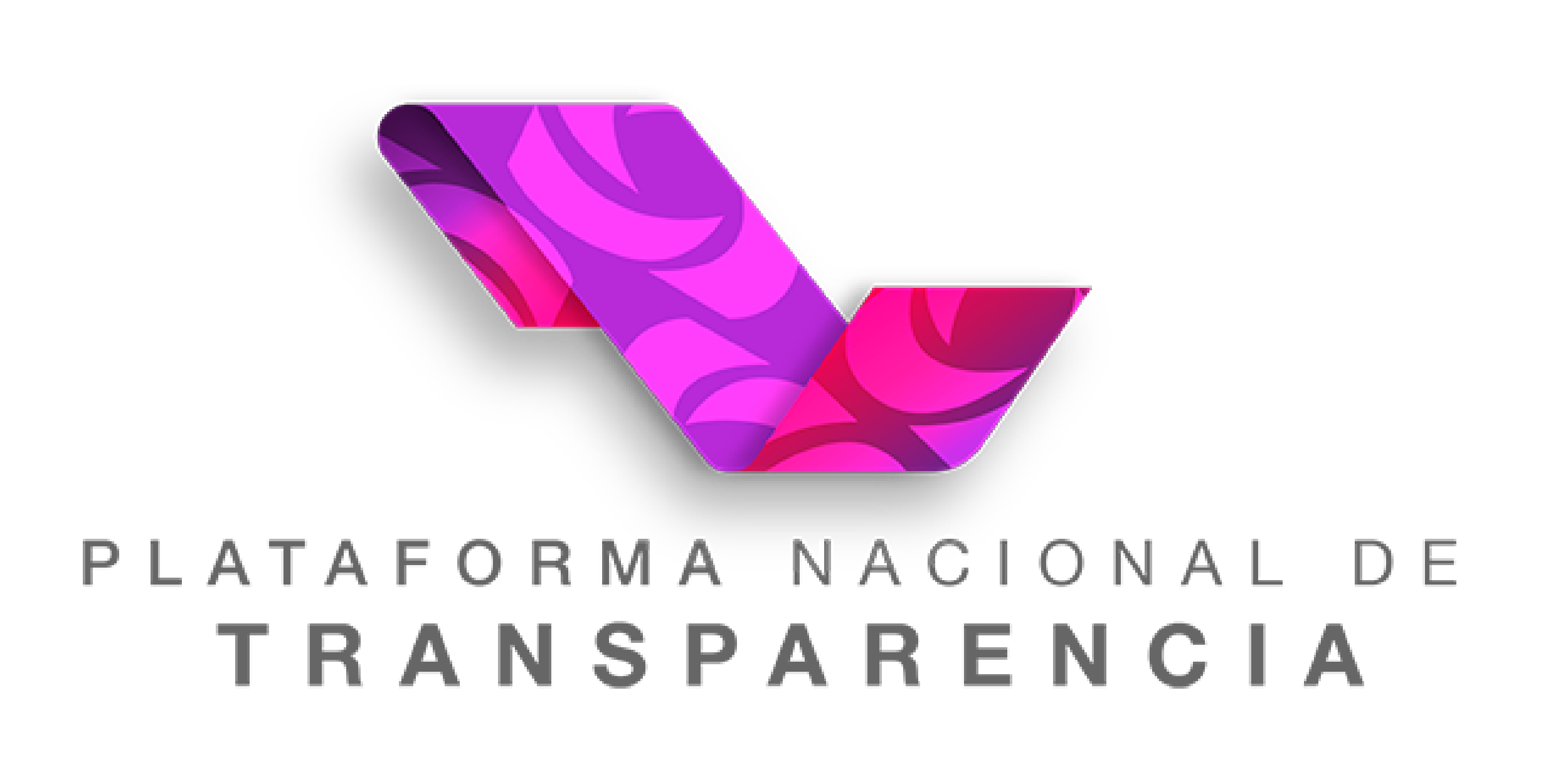 Consulta de Obligaciones de Transparencia